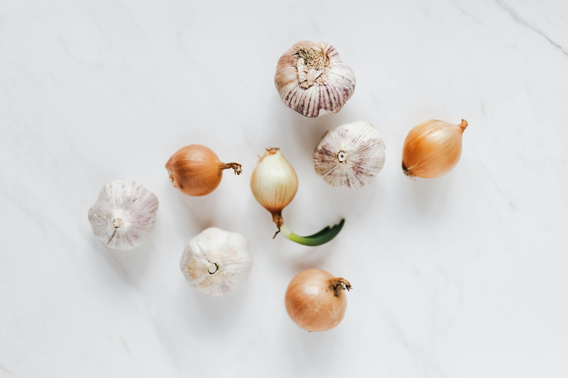 10 Best Garlic Scape Recipes for Fans of Flavor