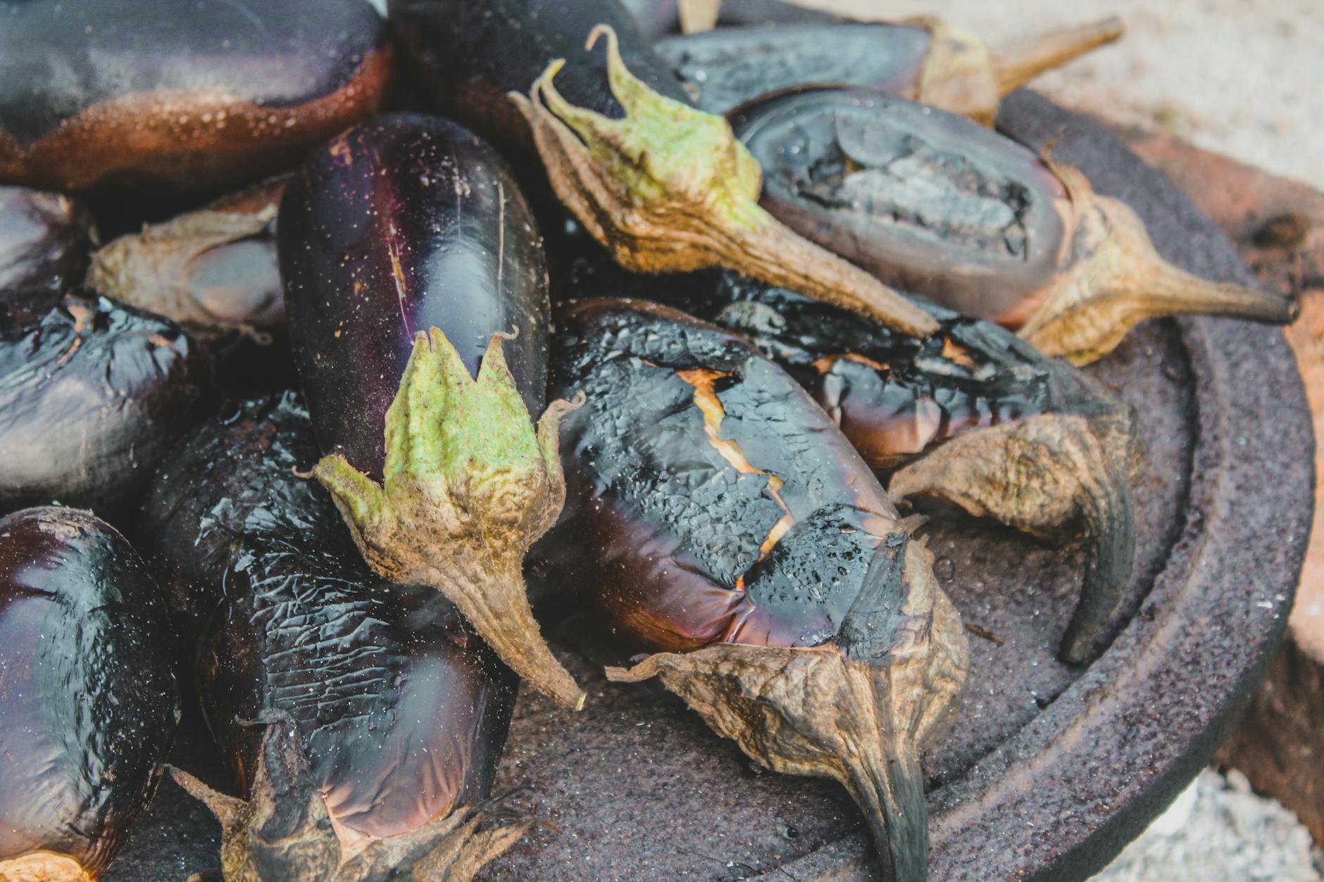 Grilled Eggplant Recipe