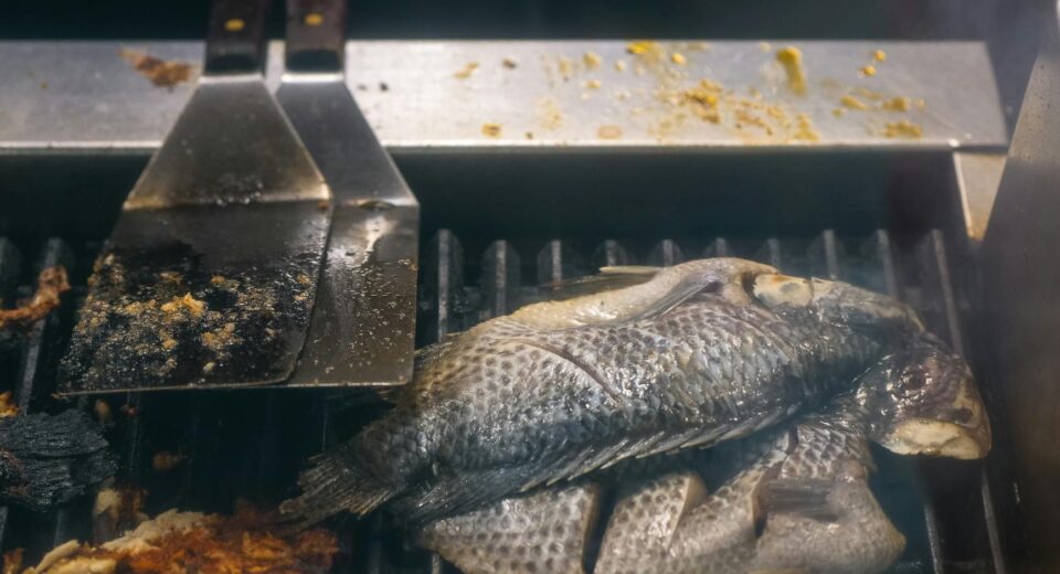 Grilled Herbed Tilapia in Foil Packets Recipe